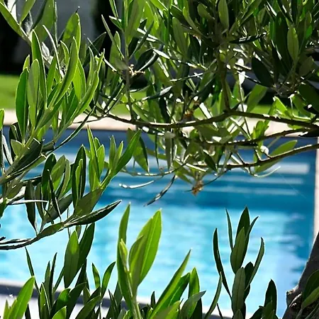Les Marguerites 3* Champdolent