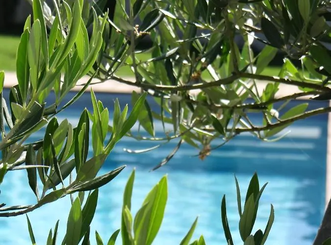 Bed & Breakfast Les Marguerites