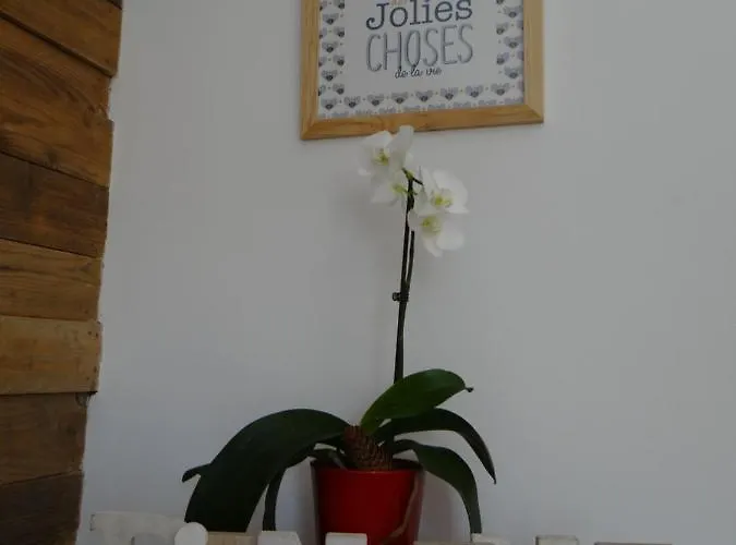 Les Marguerites 3* Champdolent